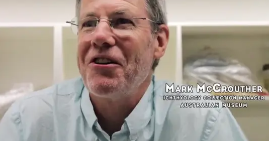 and its appearance has gone viral on the Internet.  and its appearance has gone viral on the Internet.